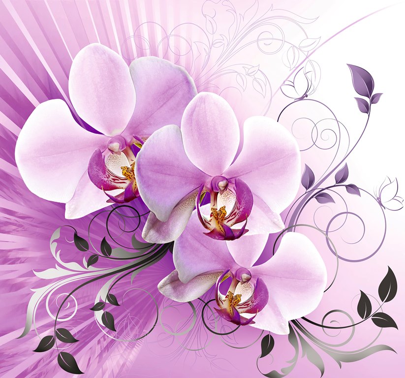 3 д фотообои Сиреневая орхидея 