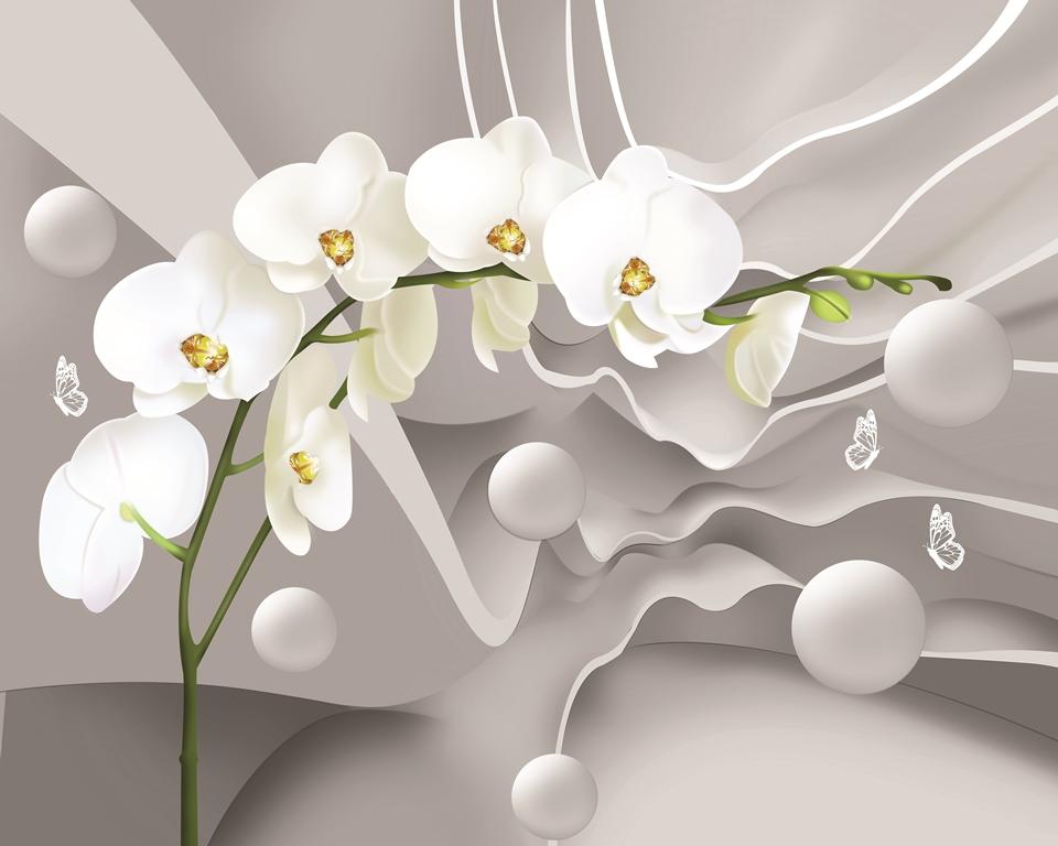 3 д фотообои Белая орхидея. 