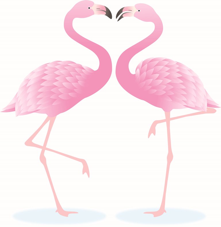 Фотообои Иллюстрация фламинго