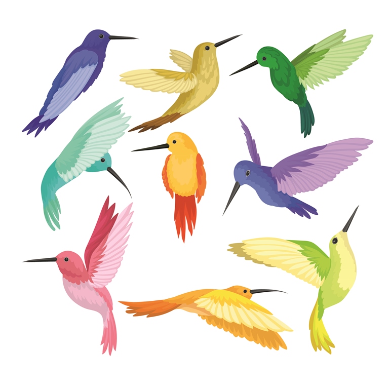 Фотообои Цветные колибри