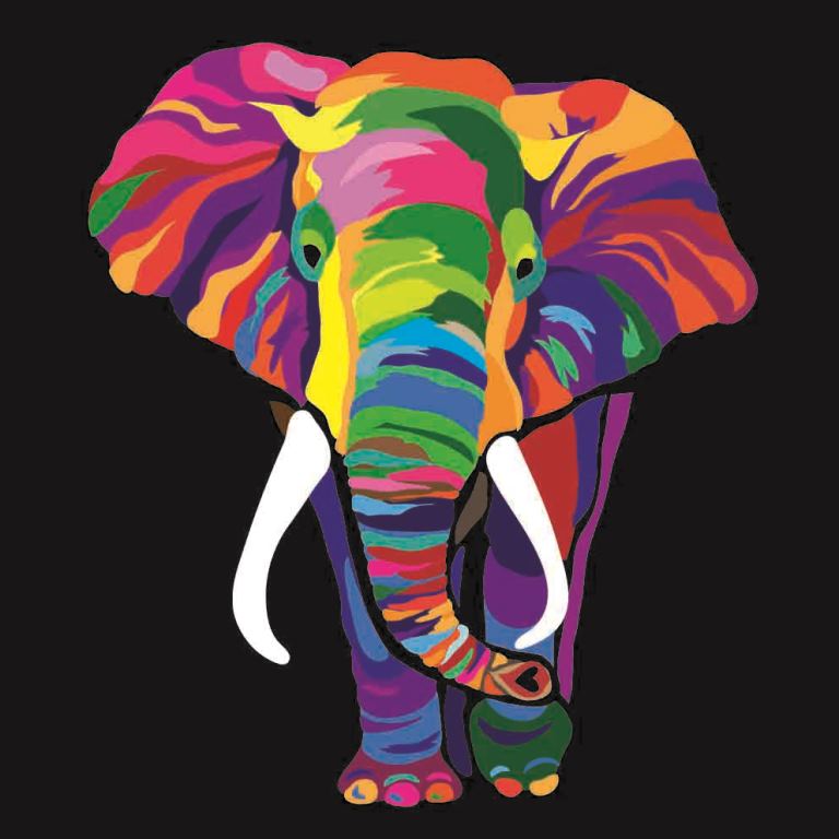 Фотообои Цветной слон