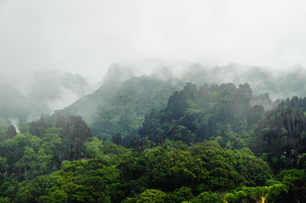 Фотообои Национальный лесной парк, Китай