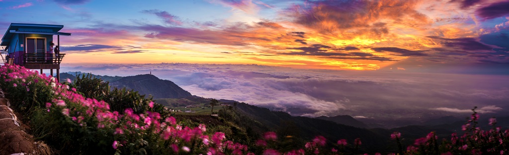 Фотообои Цветущие горы