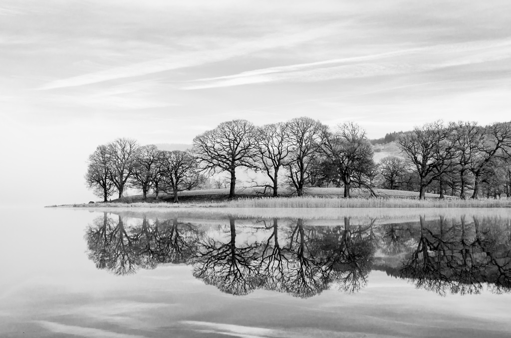 Фотообои Отражение деревьев в озере
