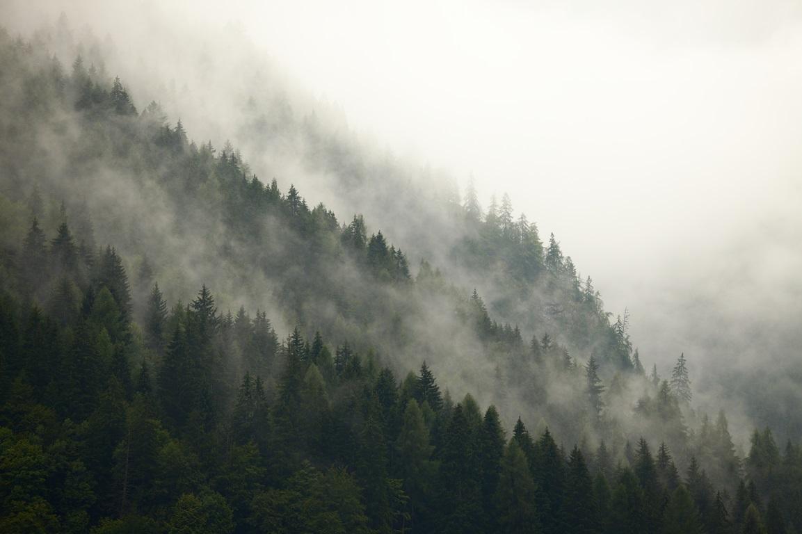 Фотообои Туманный лес в горах