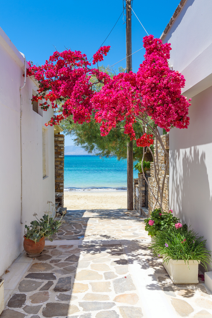 Фотообои Типичная греческая узкая улочка с летними цветами и видом на море