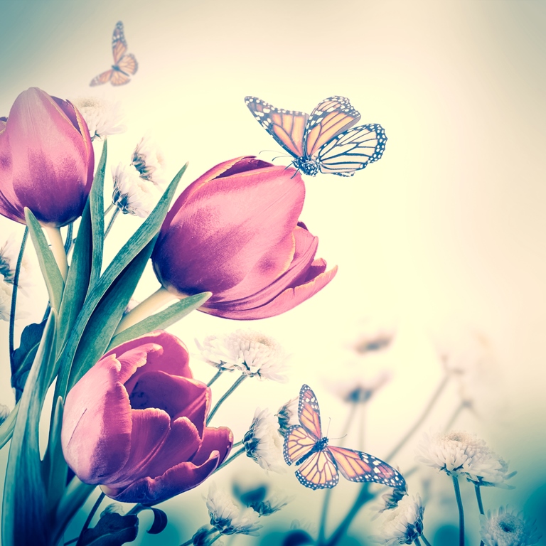 Фотообои для спальни Тюльпаны и бабочки