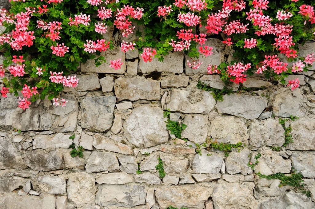 Фотообои Каменная стена с цветами