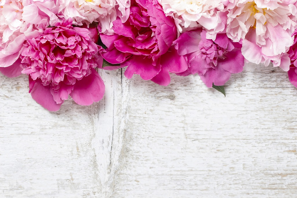 Фотообои Розовые пионы на деревянном фоне