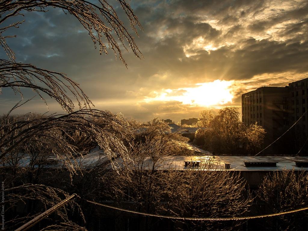Фотообои Солнце в зимний день
