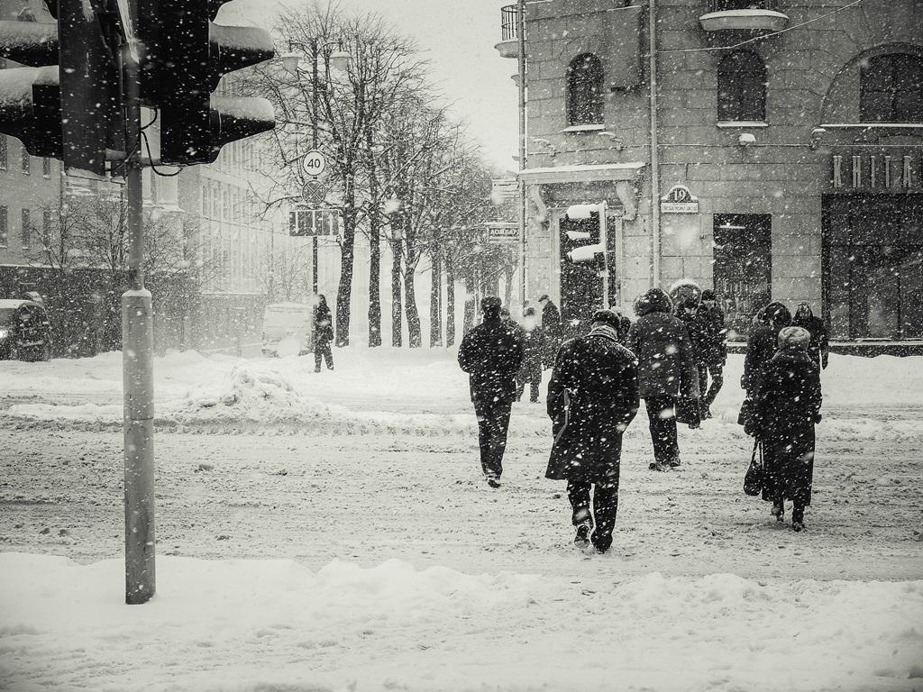 Фотообои Зима в Минске