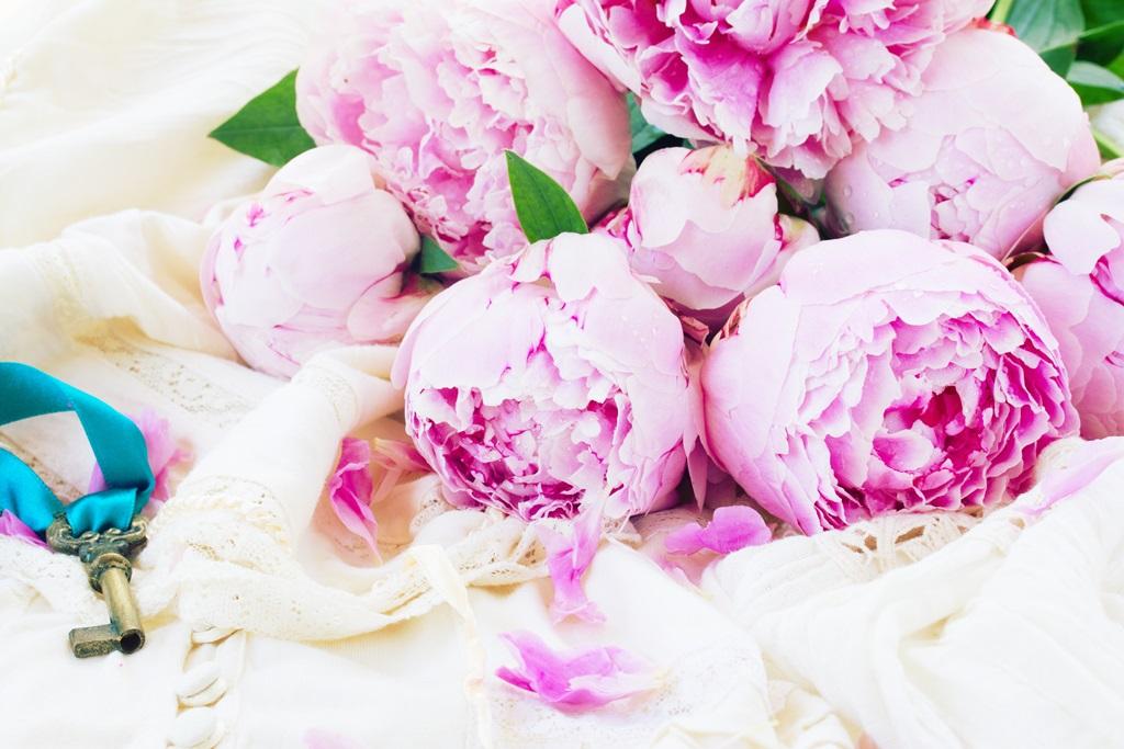 Фотообои Розовые цветы пиона
