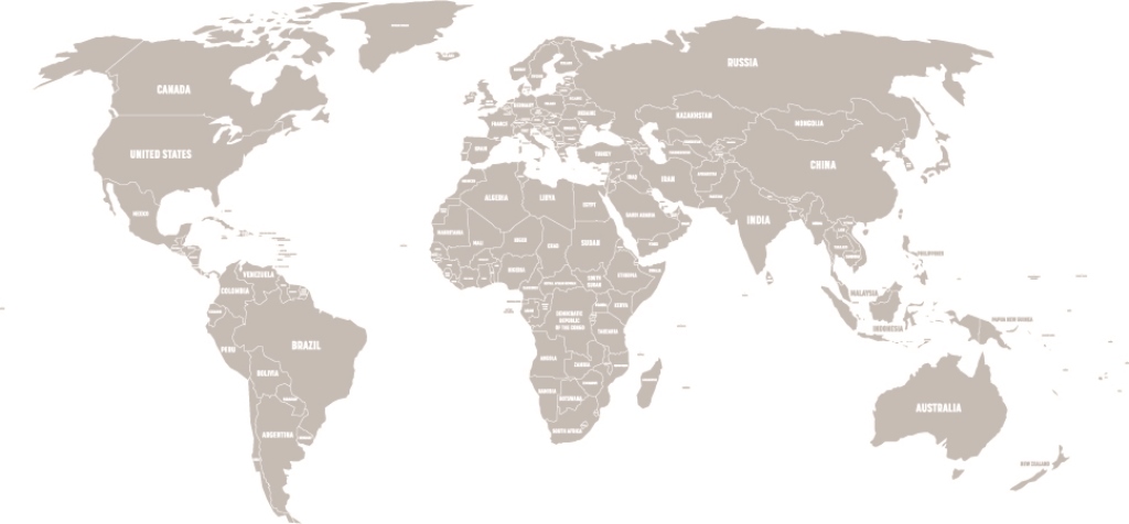 Фотообои карта мира Серая карта мира