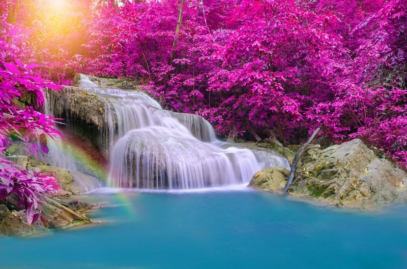Фотообои Изображение водопада и сакуры 