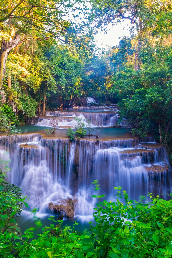 Фотообои Водопад в тропическом лесу 