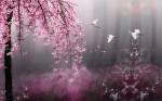 Фотообои Розовая сакура 