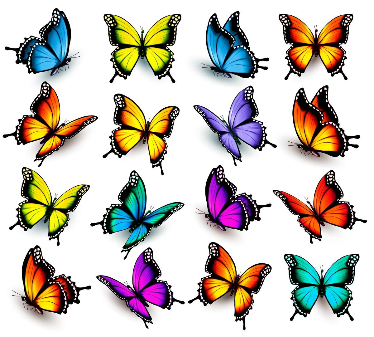 Фотообои Иллюстрация бабочек 
