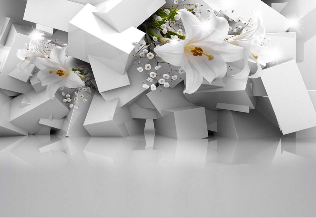 3 д фотообои Белые кубы с лилиями 