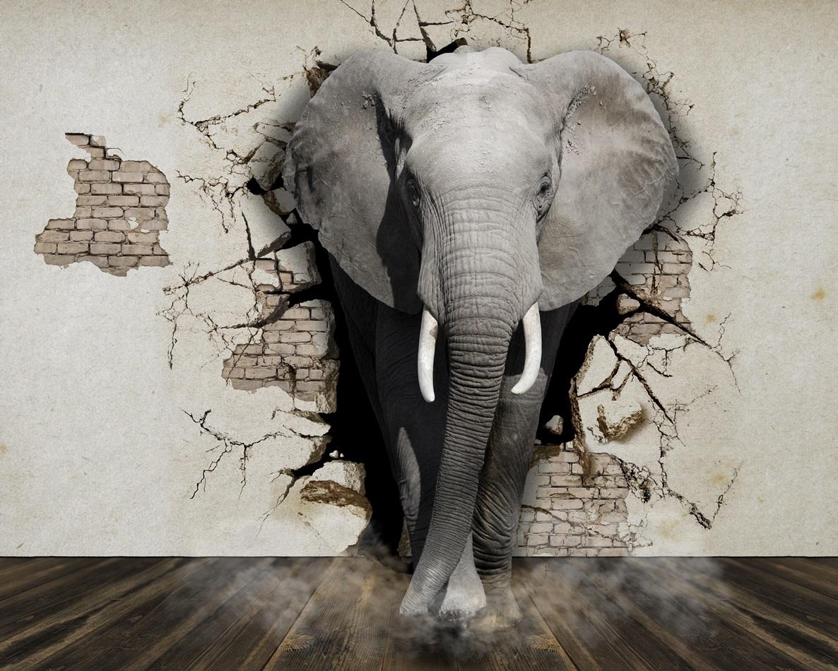 3 д фотообои Слон проходит сквозь стену 