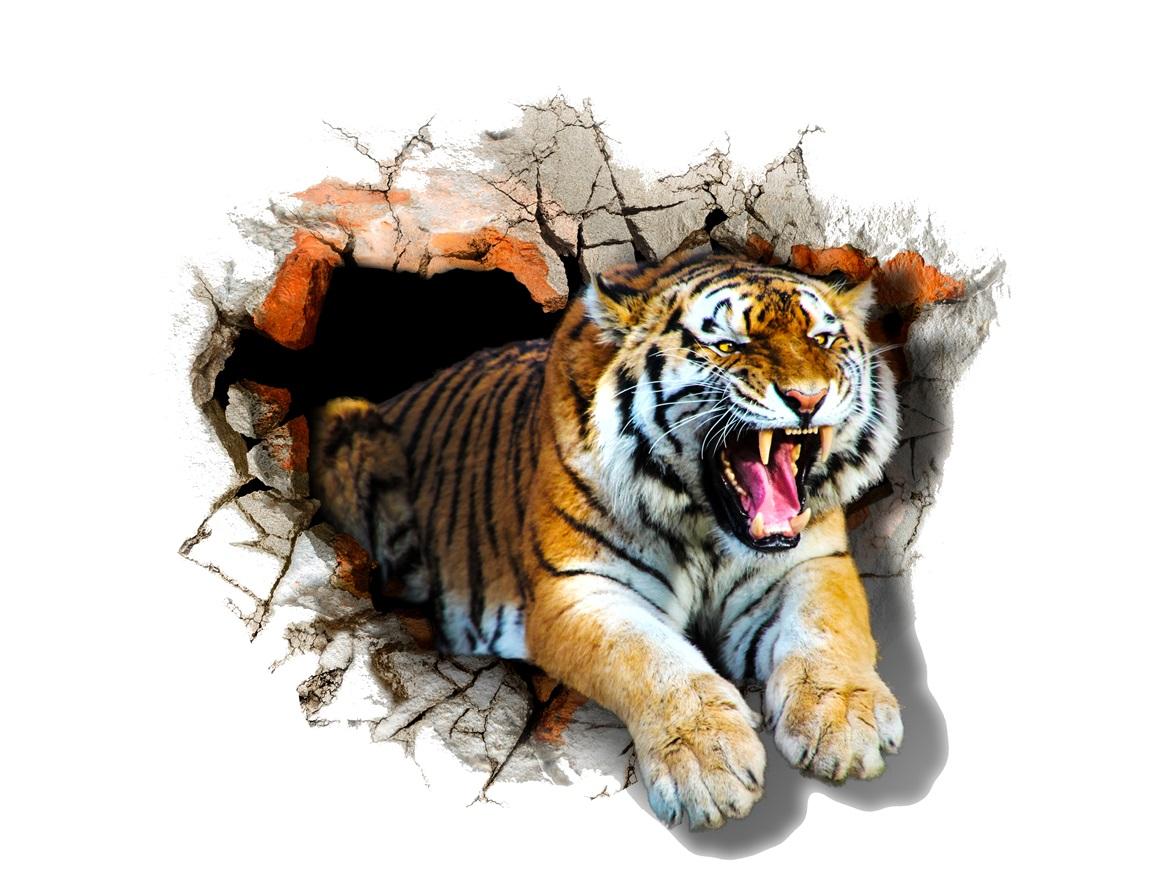 3 д фотообои Тигр вылазит из стены 