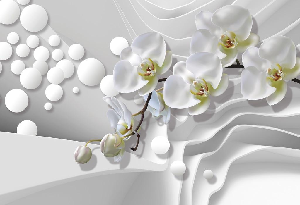 3 д фотообои 3D белая орхидея