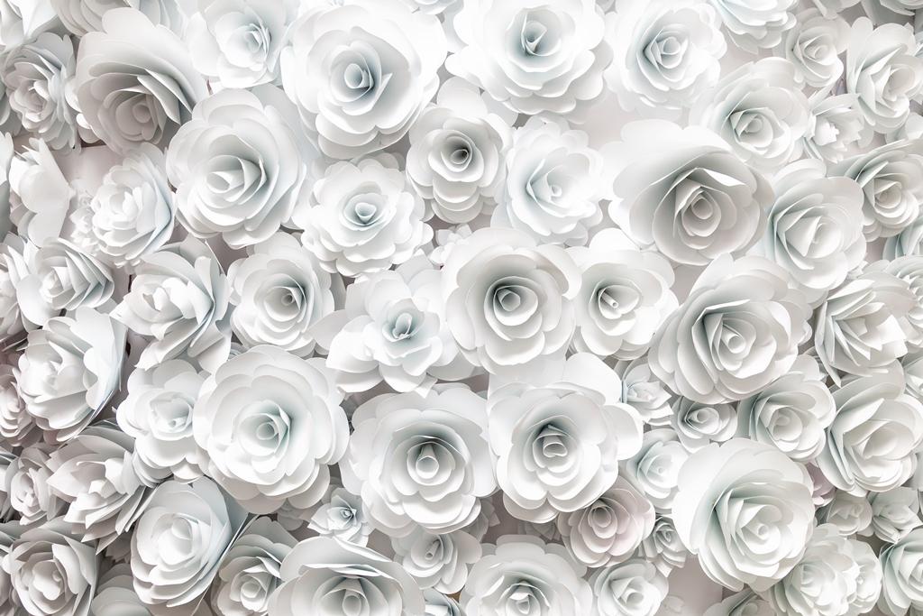 3 д фотообои Фон из белых роз