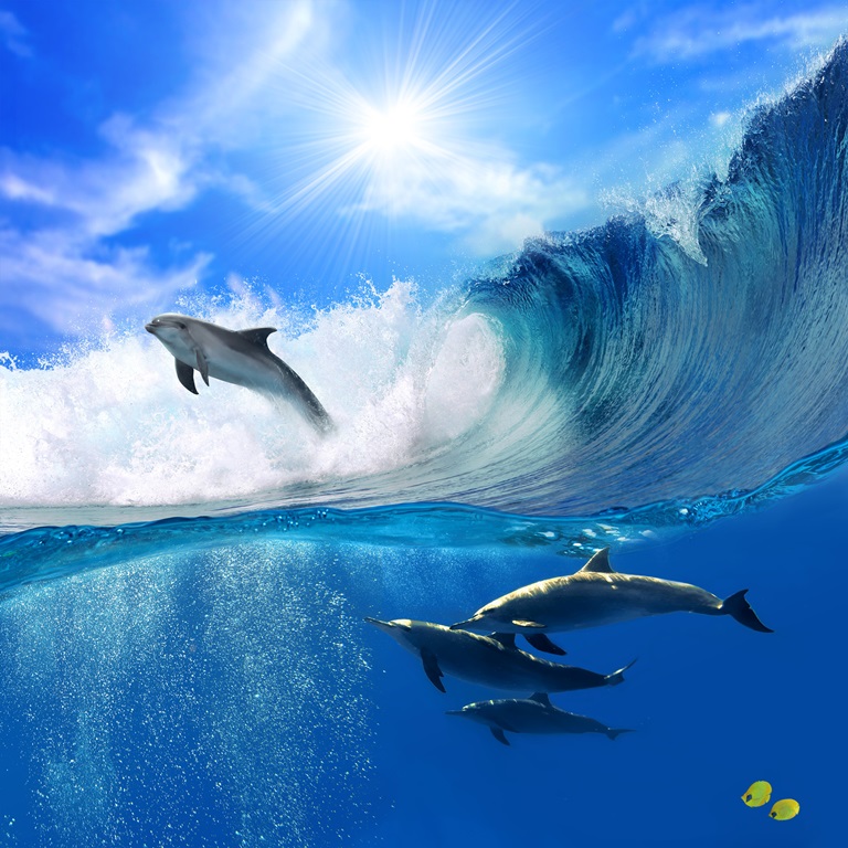 Фотообои Дельфин на гребне волны 