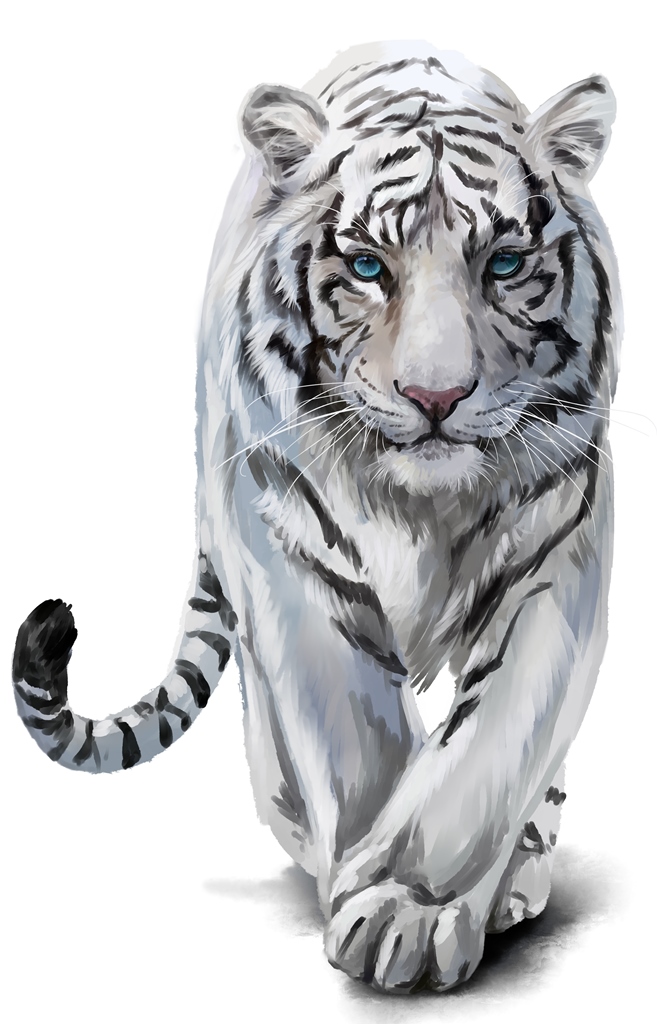 Фотообои Белый тигр на белом фоне