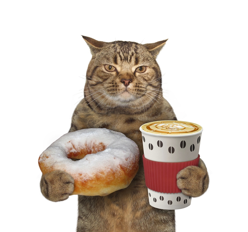 Фотообои Кот с кофе и пончиком 