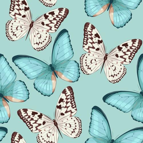 Фотообои Иллюстрация разных бабочек 