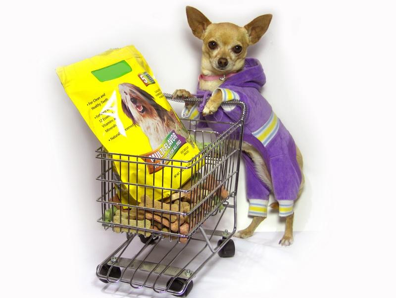 Фотообои Собака делает покупки 