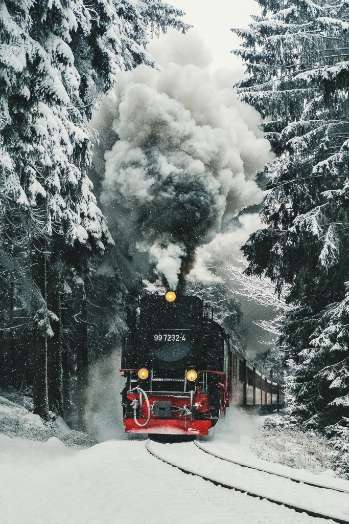 Фотообои Паровоз в зимнем лесу