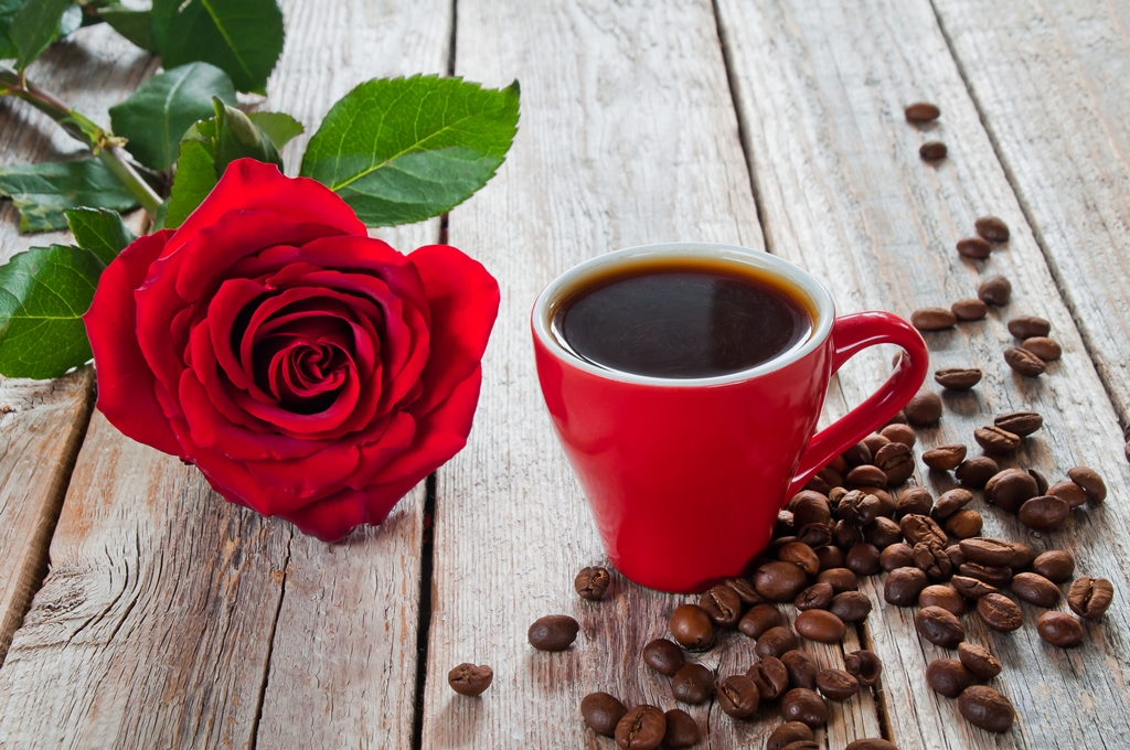 Фотообои Чашка кофе и красная роза