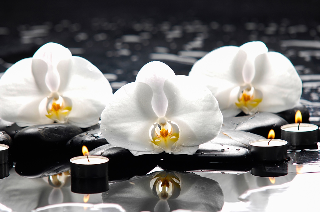 Фотообои Три орхидеи со свечой