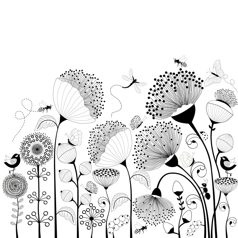 Фотообои Черно-белые цветы