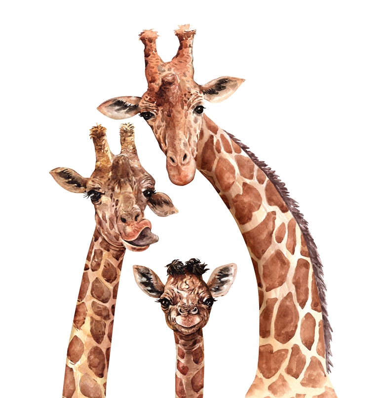 Фотообои в детскую Семья жирафов