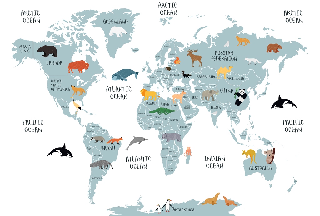 Фотообои в детскую Карта мира на английском языке.
