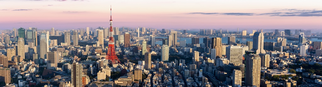 Фотообои Панорамный вид на город Токио в сумерках , Япония
