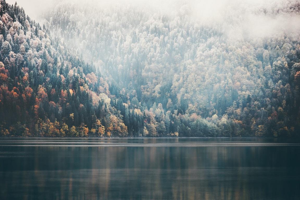 Фотообои Туманный лес. Озеро. Природа.