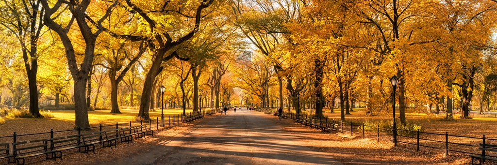 Фотообои Центральный парк в Нью-Йорке