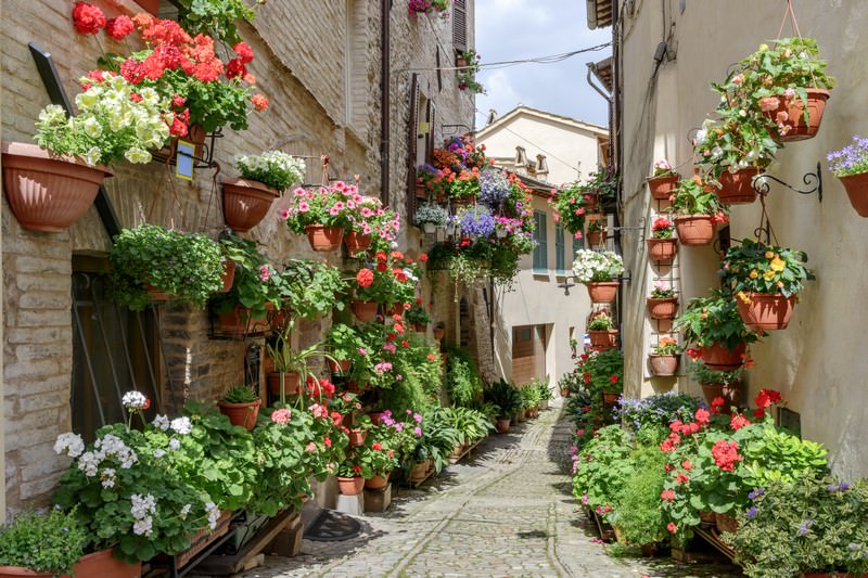 Фотообои Цветы в переулке Спелло. Италия