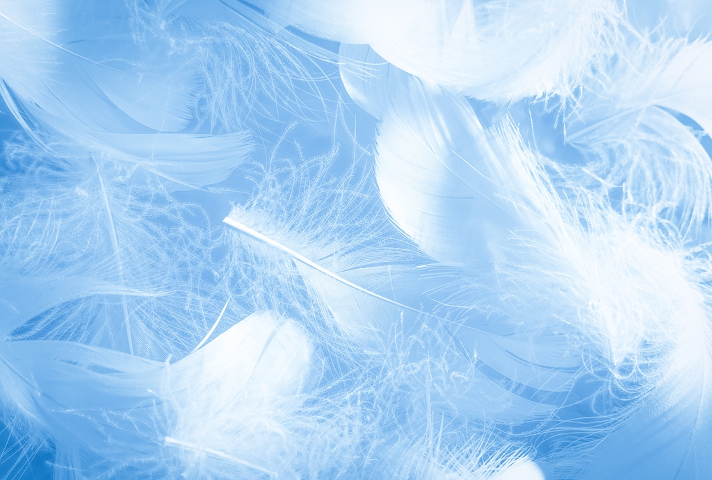 Фотообои для спальни Голубые перья