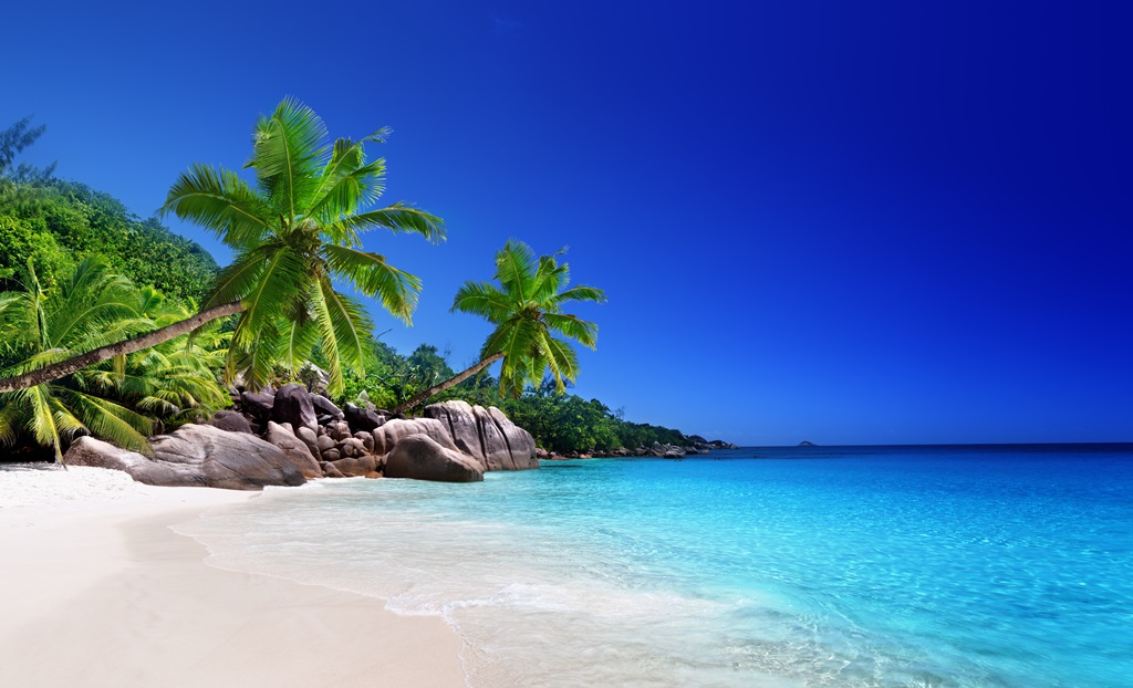 Фотообои Пляж на Сейшельских островах