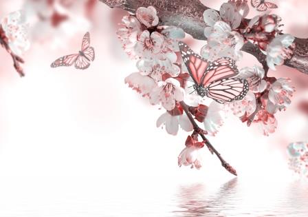 Фотообои Цветы