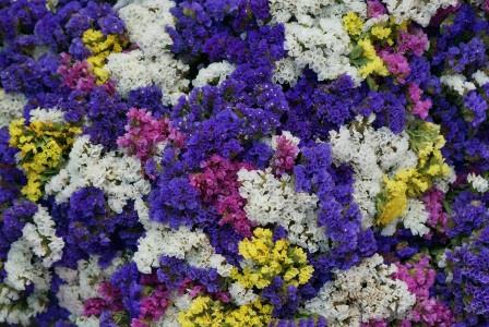 Фотообои Цветы