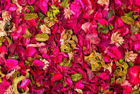 Фотообои Цветы