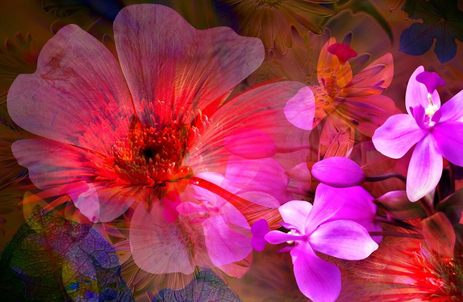 Фотообои flowers