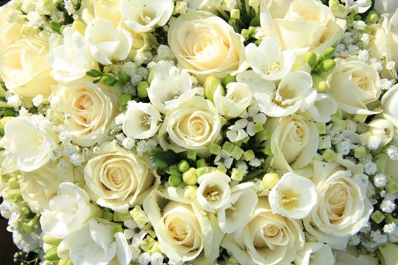 Фотообои Свадебные цветы