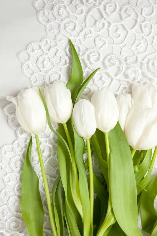 Фотообои Белые тюльпаны на столе 