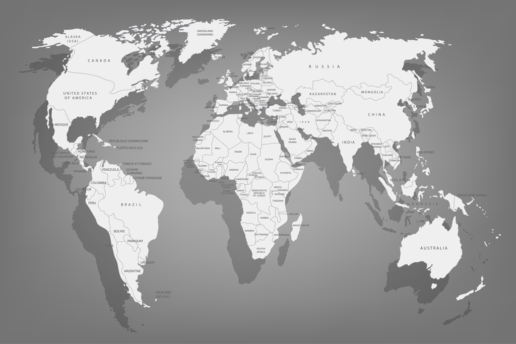 Фотообои карта мира Серая карта мира